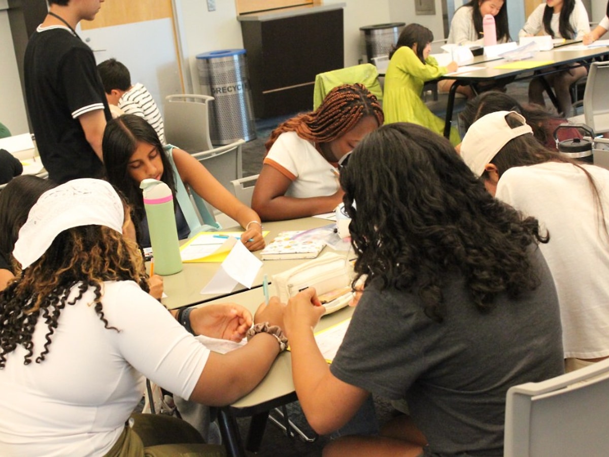 Students working together during a sustainability workshop